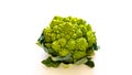 Romanesco broccoli cabbage Roman Cauliflower close-up isolated on white Royalty Free Stock Photo