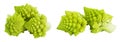 Romanesco broccoli cabbage or Roman Cauliflower isolated on white background with full depth of field Royalty Free Stock Photo