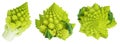 Romanesco broccoli cabbage or Roman Cauliflower isolated on white background. Set or collection Royalty Free Stock Photo