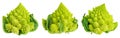 Romanesco broccoli cabbage or Roman Cauliflower isolated on white background. Set or collection Royalty Free Stock Photo
