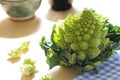 Romanesco broccoli or cauliflower
