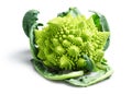 Romanesco Broccoli or Cauliflower on White Background Royalty Free Stock Photo