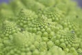 Romanesco broccoli close up Royalty Free Stock Photo