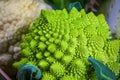 Romanesco broccoli close up. The fractal vegetable is known for it`s connection to the fibonacci sequence and the golden ratio.