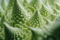Romanesco Broccoli Close-up: Mesmerizing Fractal Pattern and Vibrant Green