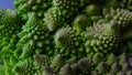 Romanesco broccoli close up Royalty Free Stock Photo