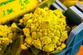 Romanesco Broccoli