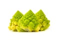 Romanesco Broccoli