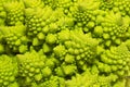 Romanesco broccoli macro close-up Royalty Free Stock Photo