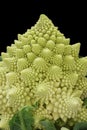 Romanesco broccoli , roman cauliflower Royalty Free Stock Photo