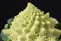 Romanesco broccoli , roman cauliflower Royalty Free Stock Photo