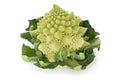 Romanesco broccoli , roman cauliflower