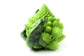 Romanesco broccoli or roman cauliflower Brassica oleracea var fresh isolated vegetable a strange and bush on white background Royalty Free Stock Photo