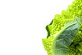 Romanesco broccoli or roman cauliflower Brassica oleracea var fresh isolated vegetable a strange and bush on white background Royalty Free Stock Photo