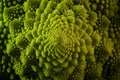 Romanesco broccoli or Roman cauliflower, close up shot from above, texture detail