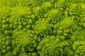 romanesco broccoli roman cauliflower inflorescence head of fresh green cabbage fractal exotic vegetable background Royalty Free Stock Photo