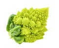 Romanesco broccoli, or Roman cauliflower isolated without shadow Royalty Free Stock Photo