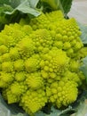 romanesco broccoli vegetables food