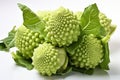 Romanesco cabbage isolated close-up on a white background. Royalty Free Stock Photo