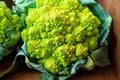 Romanesco cauliflower head Royalty Free Stock Photo