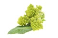 Romanesco florets