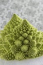 Romanesco Florets in a logarithmic spiral