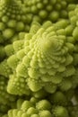 Romanesco Florets in a logarithmic spiral