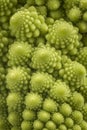 Romanesco Florets in a logarithmic spiral