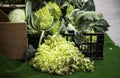 Romanesco in greengrocer