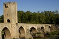 Romanesque bridge in frias