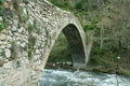 Romanesque bridge of La Margineda Royalty Free Stock Photo