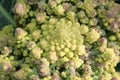 Romanesque Broccoli has a geometry pattern close to a fractal