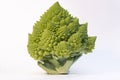 Romanesque cabbage against white