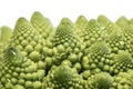 Romanesque cabbage tips Royalty Free Stock Photo