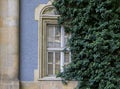 Romanesque, Gothic, Renaissance-Baroque window overgrown with amber. Royalty Free Stock Photo