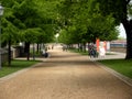 Romanesque Road in Magdeburg, Saxonyanhalt, Germany. Royalty Free Stock Photo