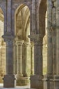 Romanesque style columns in Carboeiro monastery in Lugo. Galicia, Spain