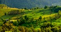 Romania , Apuseni mountain in the spring , traditional houses Royalty Free Stock Photo