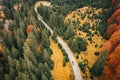 Romania autumn forest road with car passing by aerial view from a drone Royalty Free Stock Photo