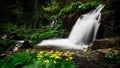 Romania beautiful landscape waterfall in the forest and natural Cheile Nerei natural park Royalty Free Stock Photo