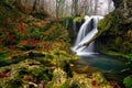 Romania beautiful landscape waterfall in the forest and natural Cheile Nerei natural park