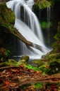 Romania beautiful landscape waterfall in the forest and natural Cheile Nerei natural park Royalty Free Stock Photo