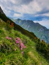 Romania, Bucegi Mountains, The Big Girdle of The Costila