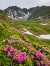 Romania, Bucegi Mountains, Tiganesti Valley Royalty Free Stock Photo