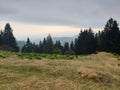 Romania, Buila&Vanturarita Mountains, Brazi Meadow.