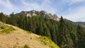 Romania, Buila Vanturarita Mountains, viewpoint to ridge of the massif from Brazi Meadow