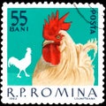 ROMANIA - CIRCA 1963: Postage stamp printed in Romania, shows