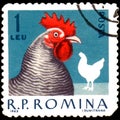 ROMANIA - CIRCA 1963: Postage stamp printed in Romania, shows hen