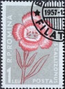 Romania - Circa 1957: a postage stamp printed in the Romania showing the alpine Flowers of the Carpathian Mountains. Dianthus call