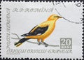 Romania - Circa 1959: a postage stamp printed in the Romania showing a songbird: Golden Oriole Oriolus oriolus